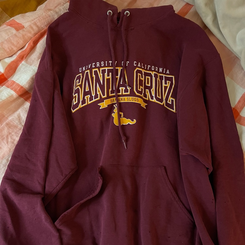 Santa Cruz Vintage sweatshirt by LF
